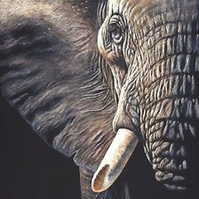 Схема вышивки «Слон»