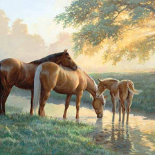 Схема вышивки «Семейство на водопое»