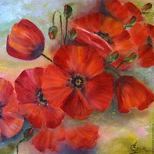 Схема вышивки «Маки»