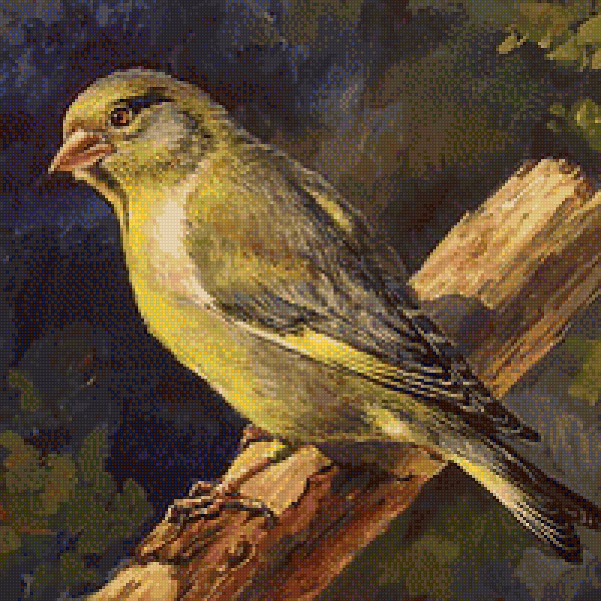 Птичка на ветке - птицы, ветка, картина - предпросмотр