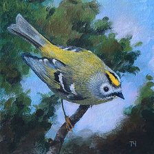 Схема вышивки «Птицы на ветке»