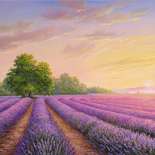 Схема вышивки «Лавандовое поле»