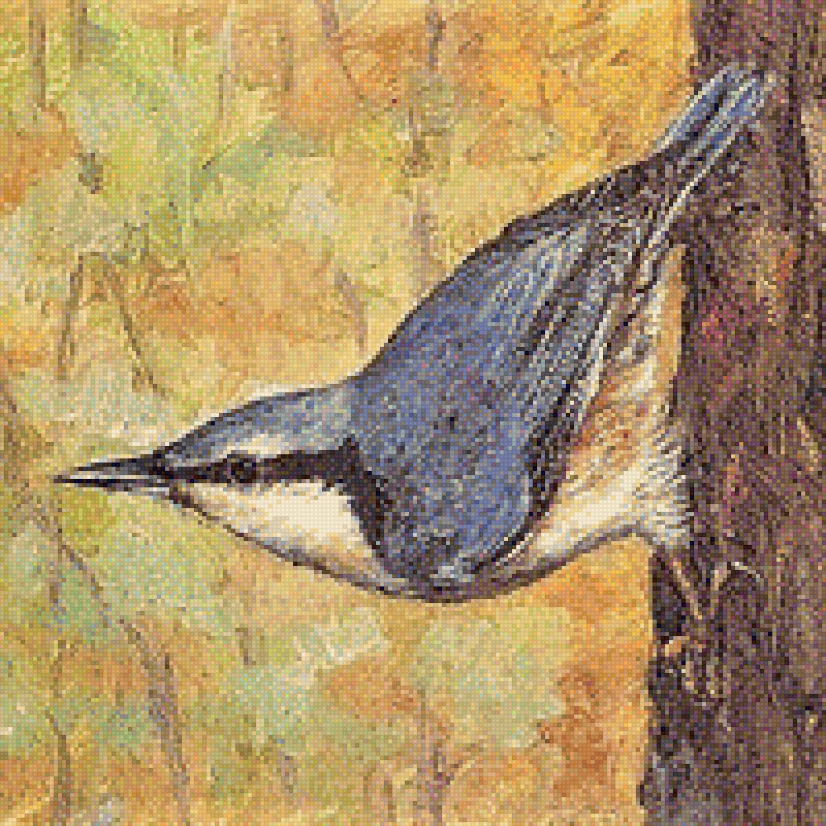 Полозень - картина, ветка, птицы, полозень - предпросмотр