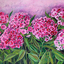 Схема вышивки «Флоксы»