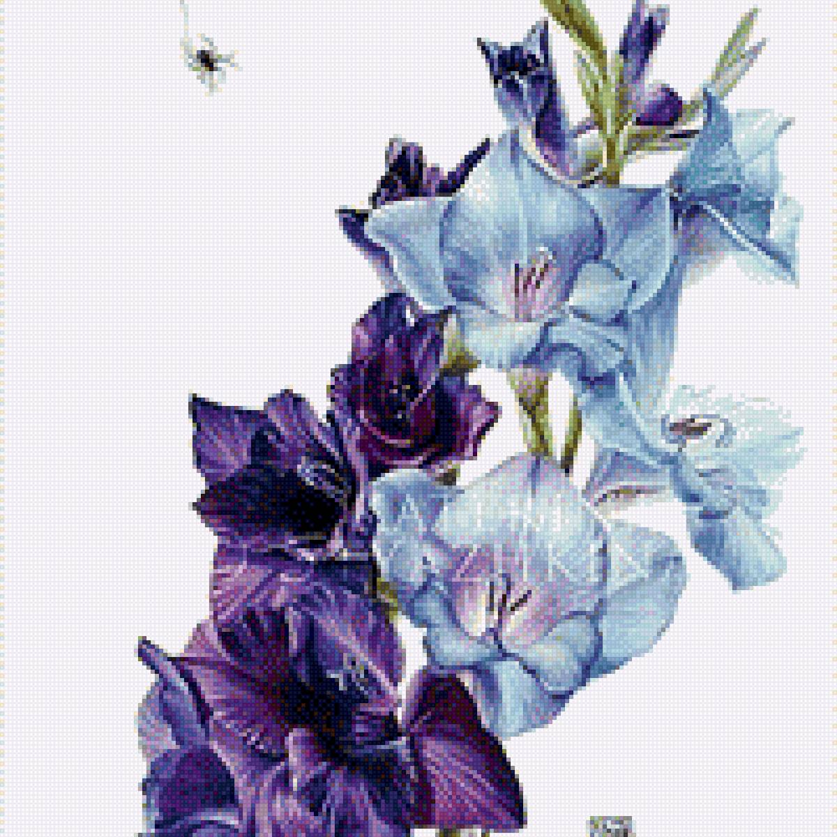 Гладиолусы - гладиолусы, цветы, природа, картина - предпросмотр