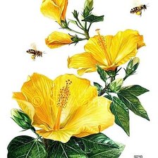 Схема вышивки «Мальва»