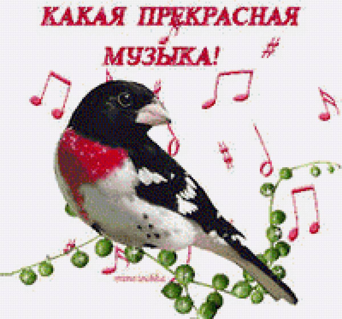 Какая прекрасная музыка! - открытка, какая прекрасная музыка, поздравление - предпросмотр