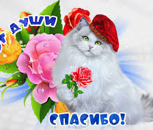 Схема вышивки «Открытка Спасибо!»