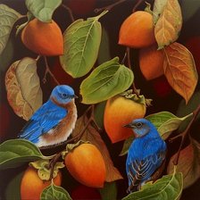 Схема вышивки «птицы»