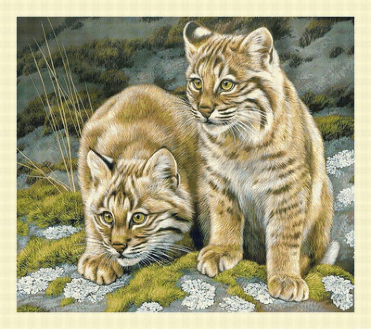 Маленькие хищники. - животные, хищники, котята, живопись - предпросмотр