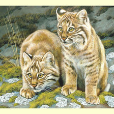 Схема вышивки «Маленькие хищники.»