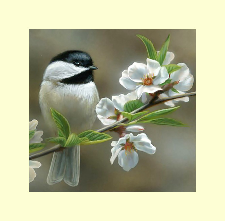 Синичка. - птицы, цветы, живопись, ветка, синицы - оригинал