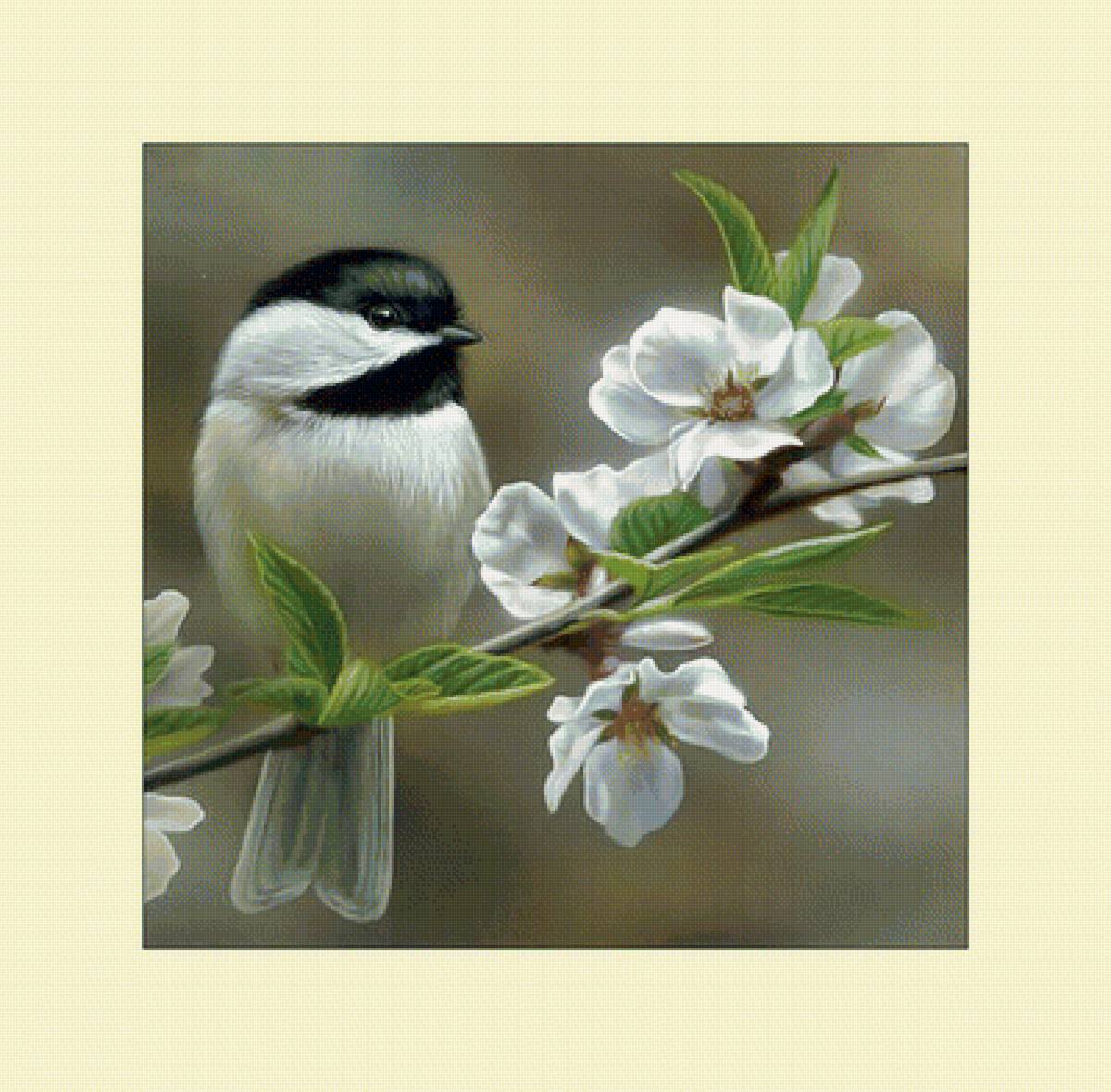 Синичка. - живопись, птицы, ветка, синицы, цветы - предпросмотр