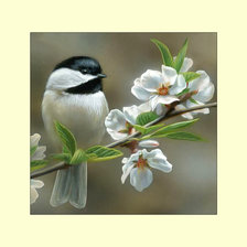 Схема вышивки «Синичка.»