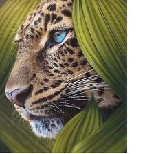 Схема вышивки «245х347»