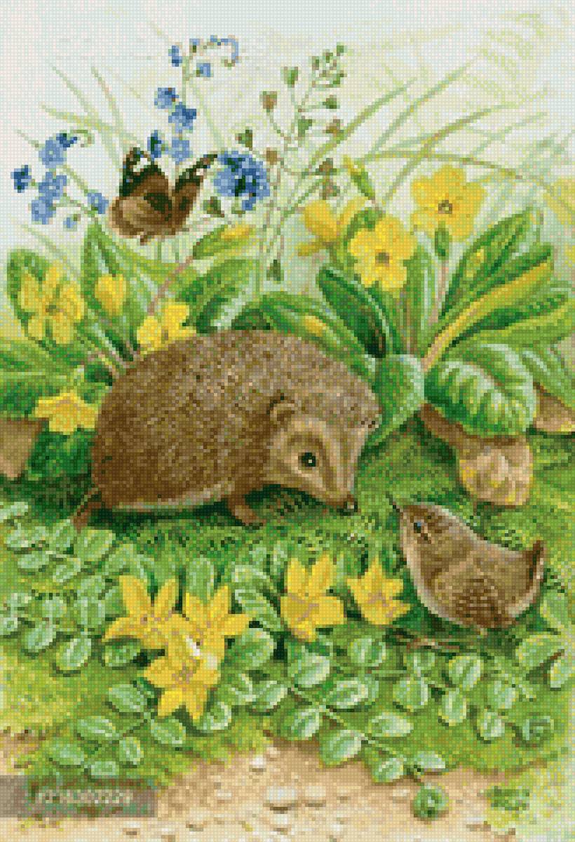 встреча - цветы, птичка, ежык, трава - предпросмотр