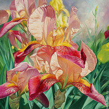 Схема вышивки «Ирисы»