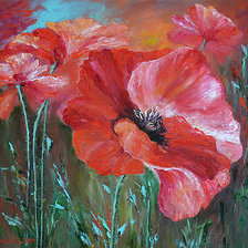 Схема вышивки «Маки»