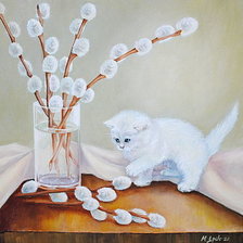 Котенок и котики