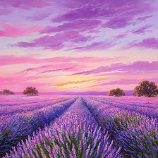 Схема вышивки «Лавандовое поле»