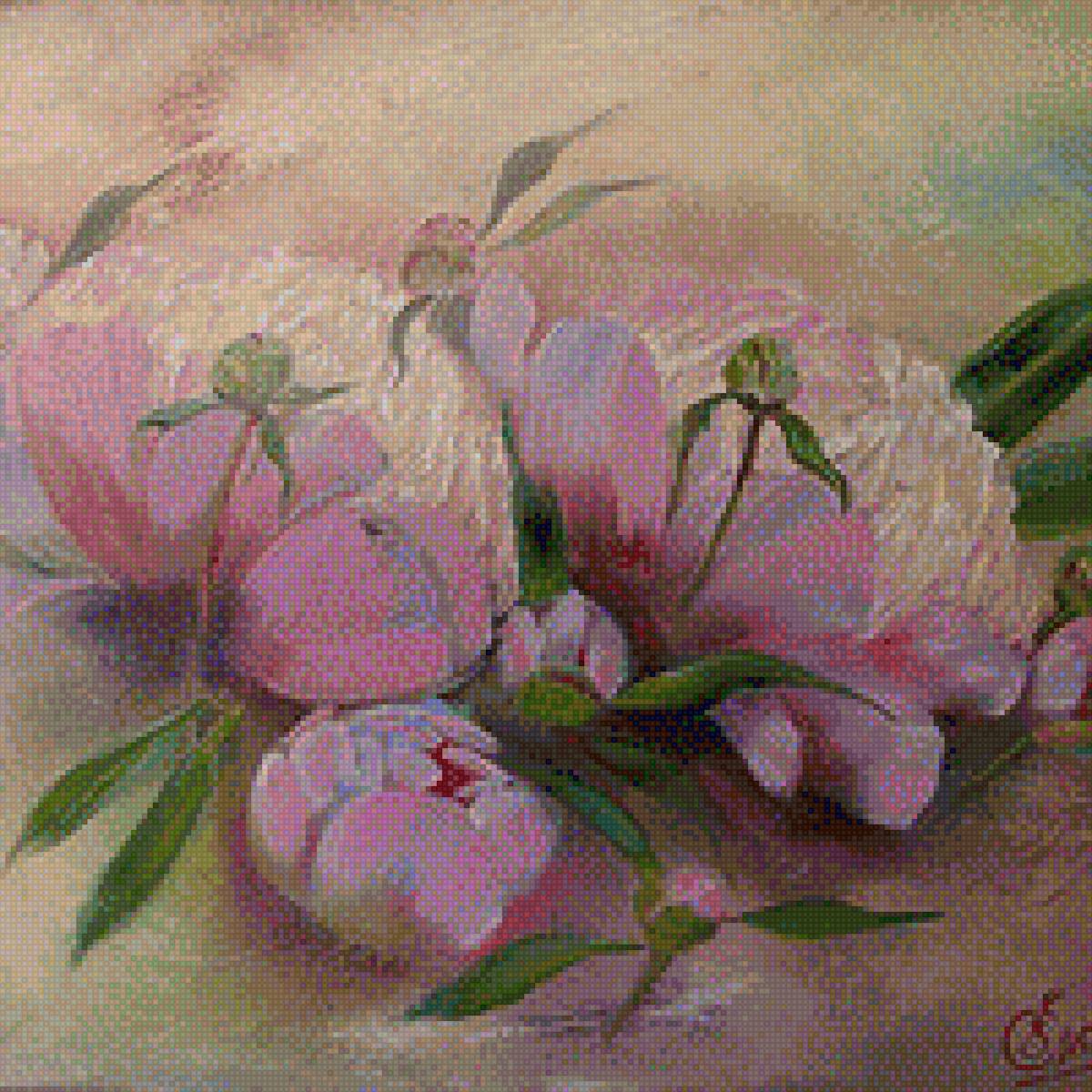 Пион - куст, пион, цветы, растения - предпросмотр