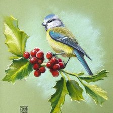 Схема вышивки «Птицы на ветке»