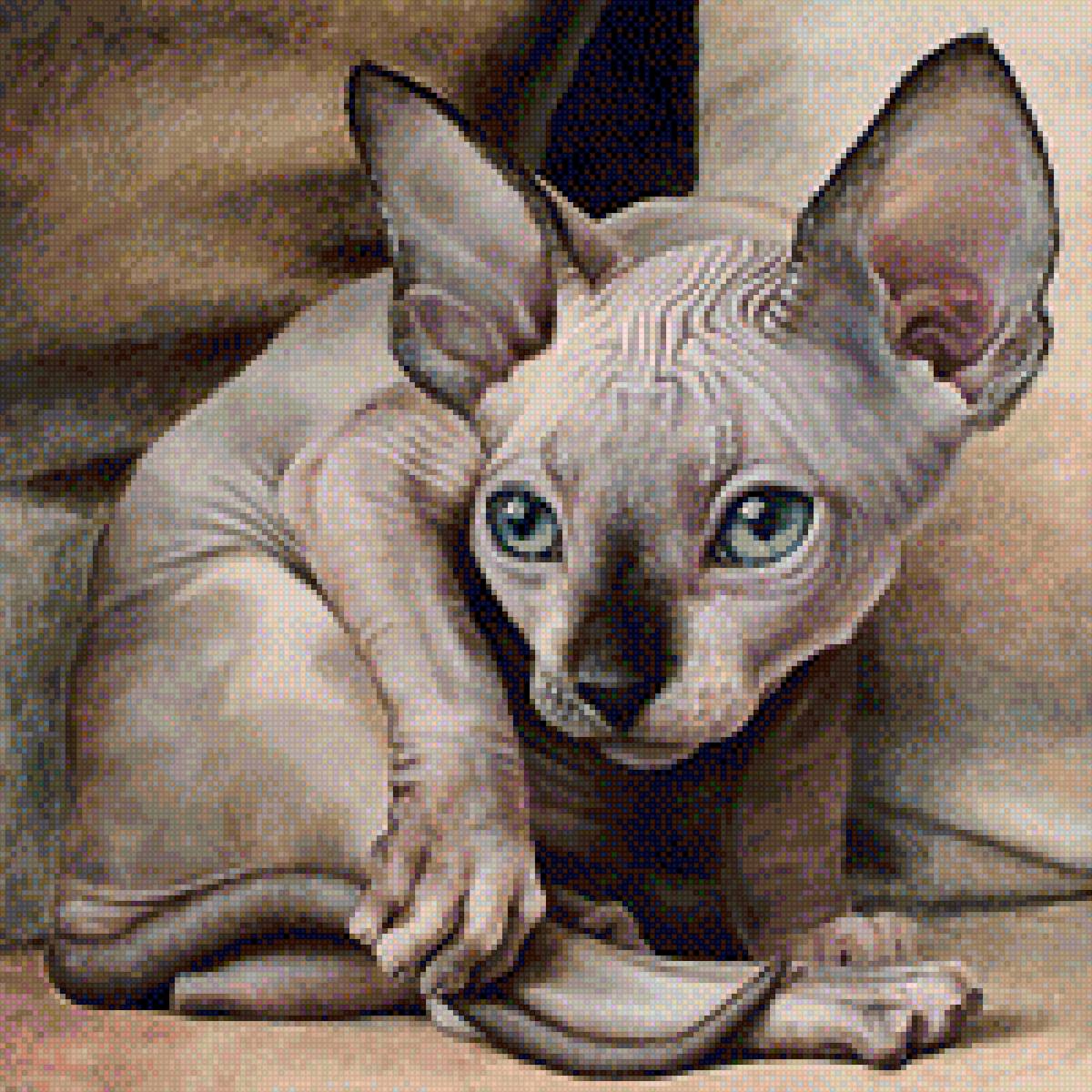 Кот Сфинкс - кот, сфинкс, порода, картина, домашние любимцы - предпросмотр