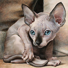 Схема вышивки «Кот Сфинкс»