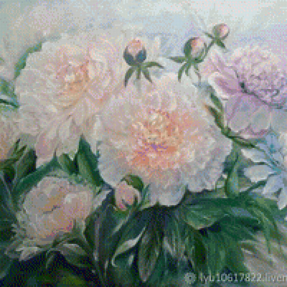 Пион - куст, цветы, пион, растения - предпросмотр