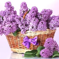 Сирень в корзине