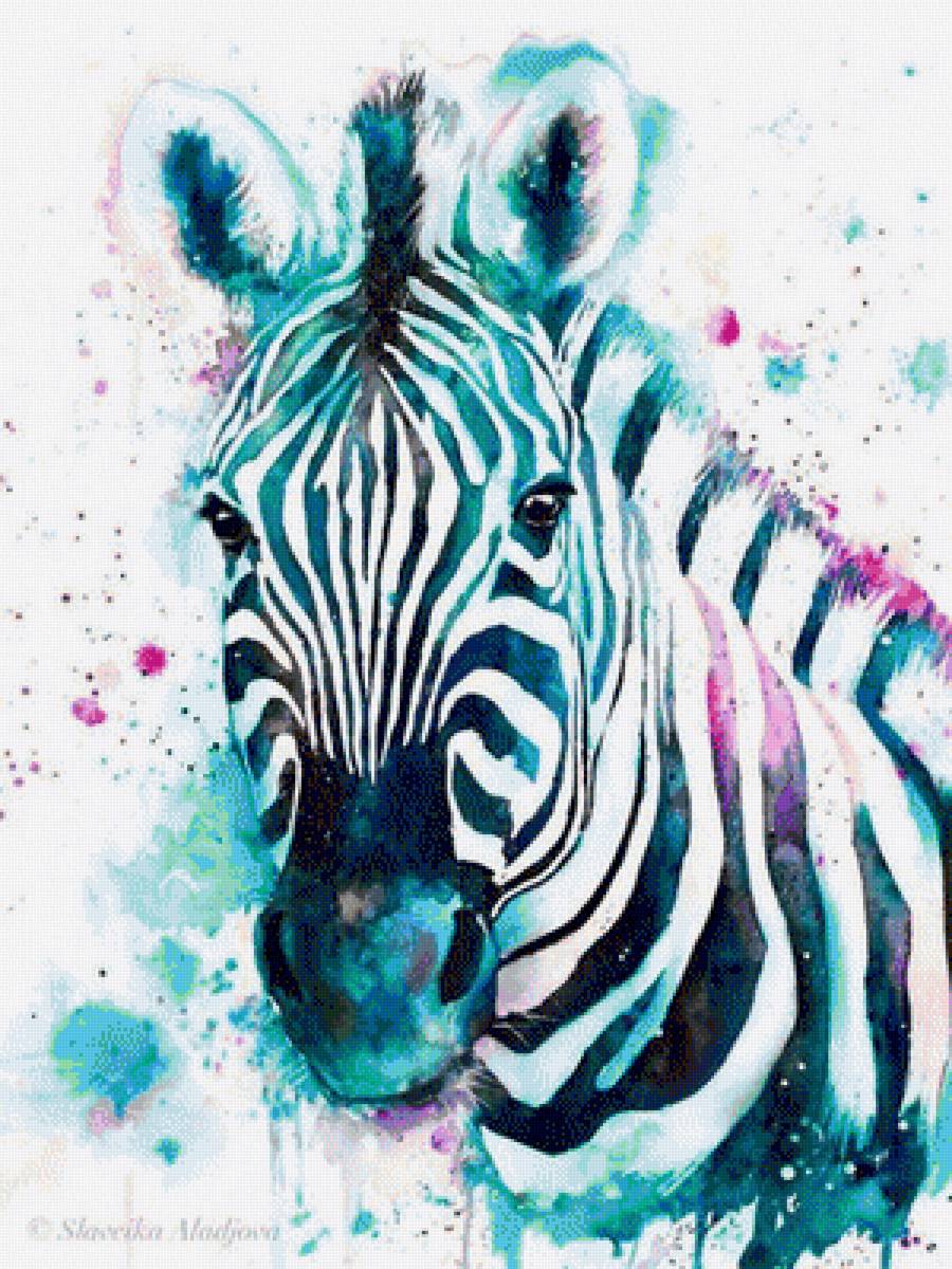 Зебра бирюза - абстракция животные зебра - предпросмотр