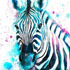 Схема вышивки «Зебра бирюза»