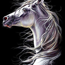 На чёрном фоне