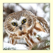 Схема вышивки «№2053333»