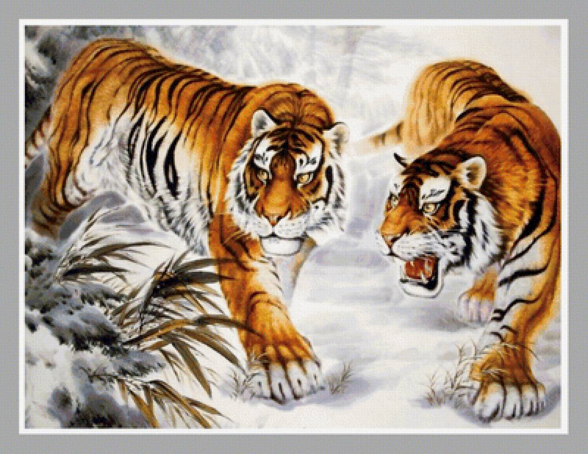 №2053355 - тигры, тигр, хищники, животные - предпросмотр