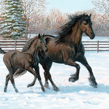 Схема вышивки «Худ. Персис Клейтон»