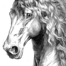 Схема вышивки «Зарисовка скакуна»