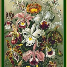 Букетик цветов