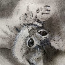 Схема вышивки «Котенок»