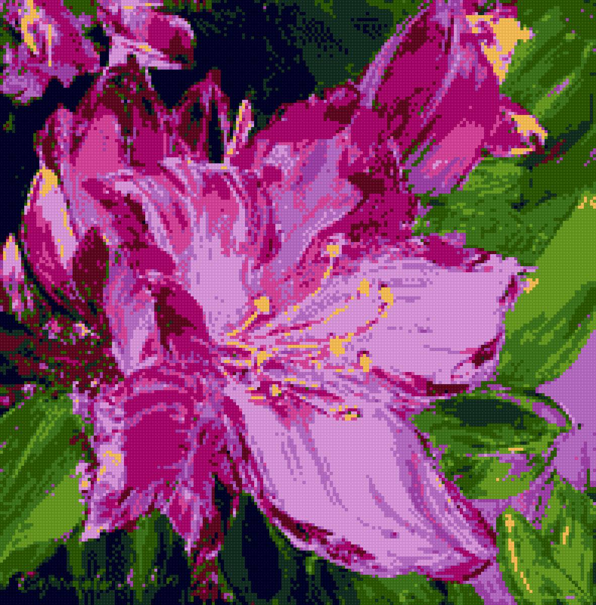 Багульник-12 - цветы, багульник - предпросмотр