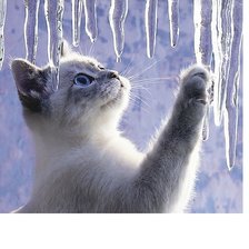 Схема вышивки «№2054174»