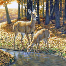 Схема вышивки «Оленята»