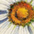 Предпросмотр схемы вышивки «"Раз ромашка,два ромашка..."» (№2054310)