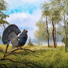 Схема вышивки «птицы»