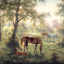 Схема вышивки «На вольном пастбище»