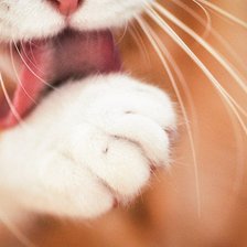 Схема вышивки «Чистюля»