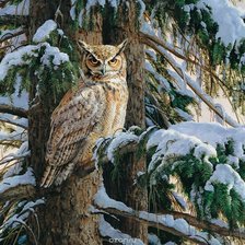 Схема вышивки «Филин»