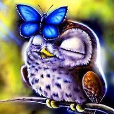 Схема вышивки «Сова-Малышка»