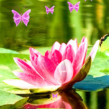 Схема вышивки «Лотос»