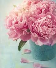 Схема вышивки «Пион»